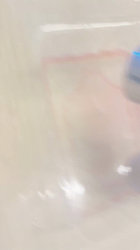 Heart formation